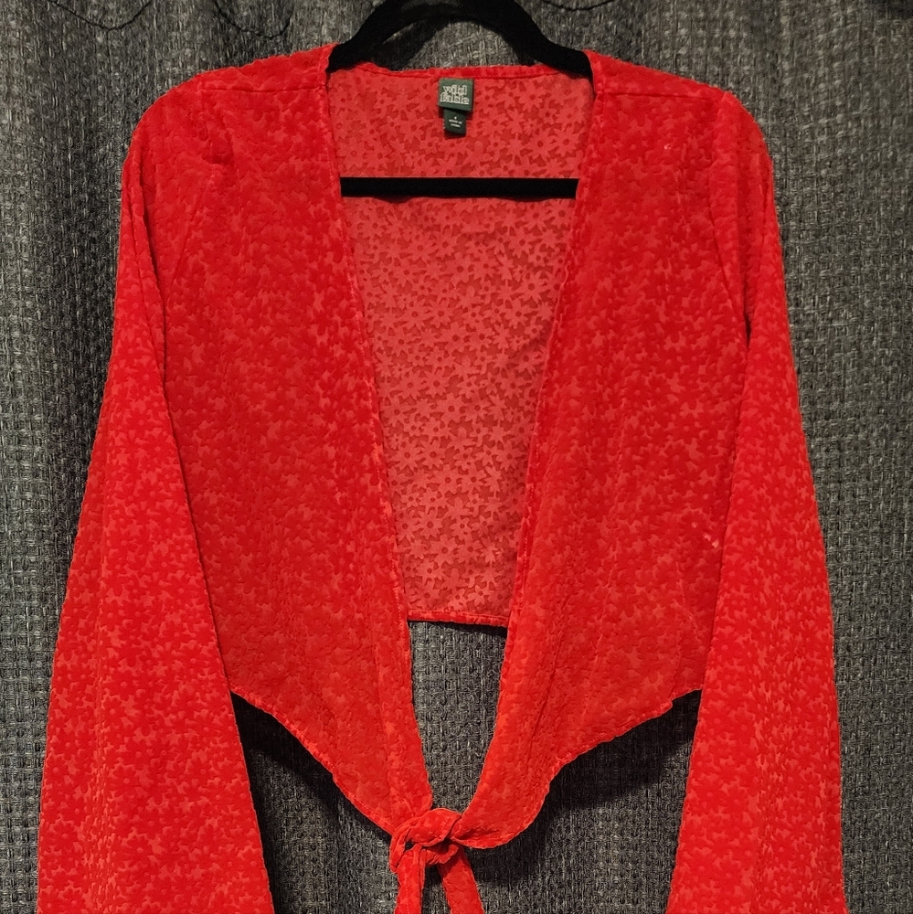 Wild Fable Red Floral Sheer Top